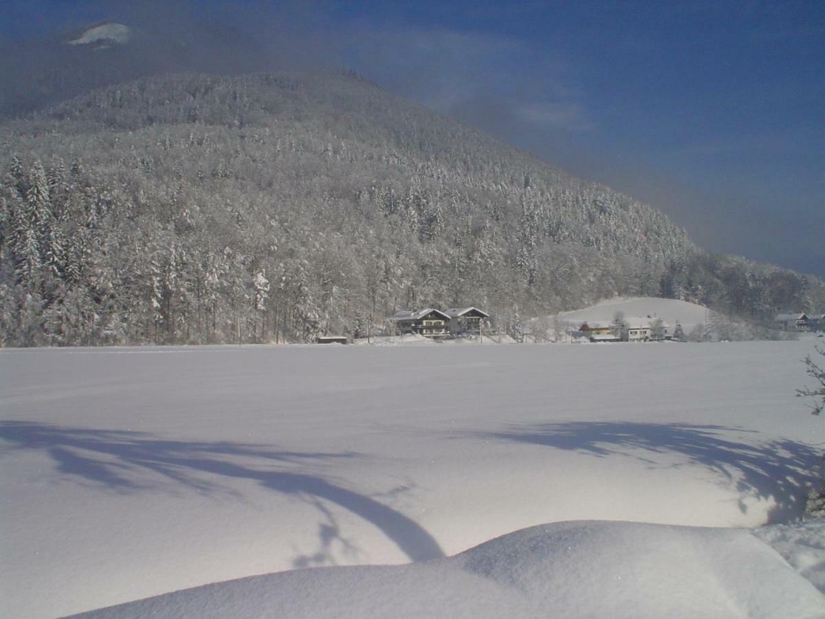 Ferienhaus Franz Eisl Radau 39 Villa Saint Wolfgang Dış mekan fotoğraf